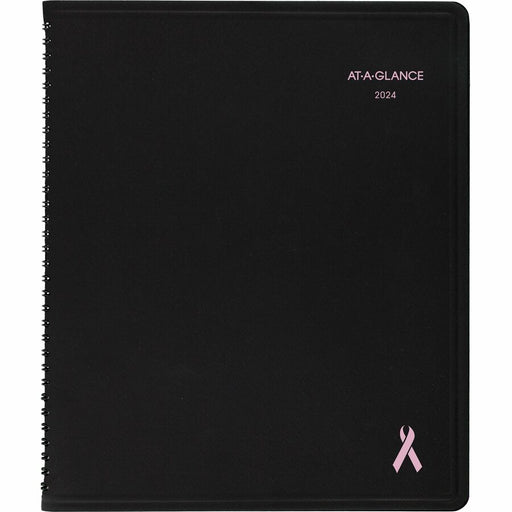 At-A-Glance QuickNotes Special Edition Weekly/Monthly Appointment Book