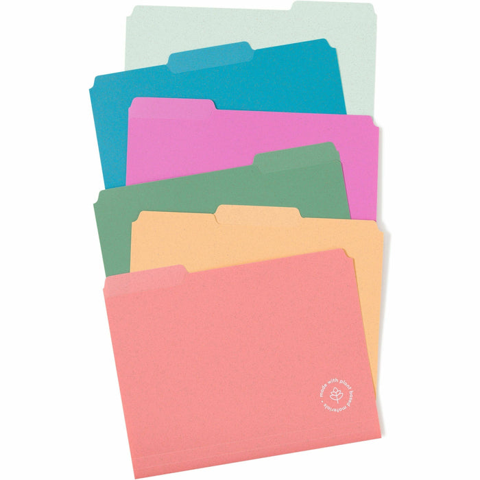 U Brands 1/3 Tab Cut Letter Organizer Folder