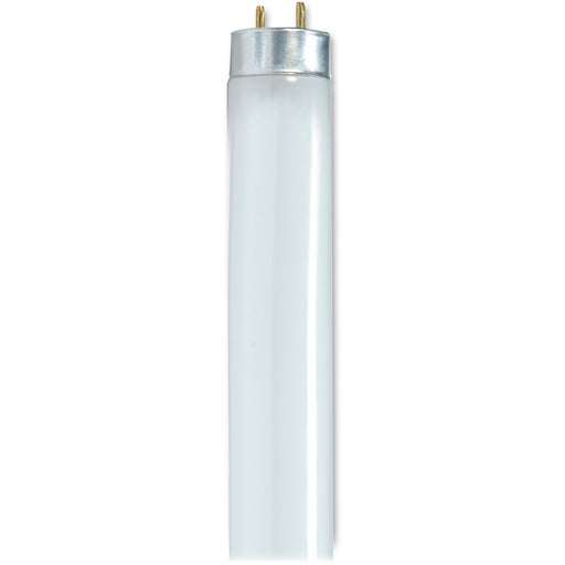 Satco 32-watt 48" T8 Fluorescent Bulbs