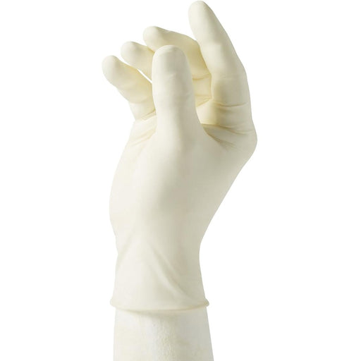 Curad Powder Free Latex Exam Gloves