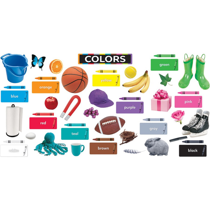 Trend Colors All Around Us Learning Set