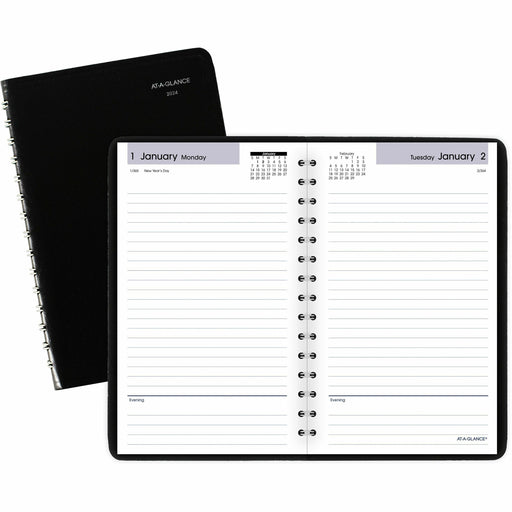 At-A-Glance DayMinder Daily Planner