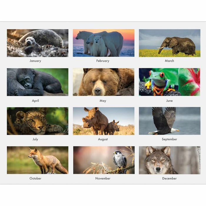 House of Doolittle Earthscapes Wildlife Monthly Wall Calendar