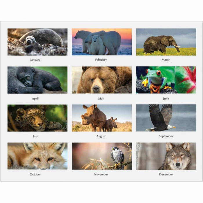 House of Doolittle Earthscapes Wildlife Wall Calendars