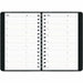 Blueline DuraGlobe Daily Planner