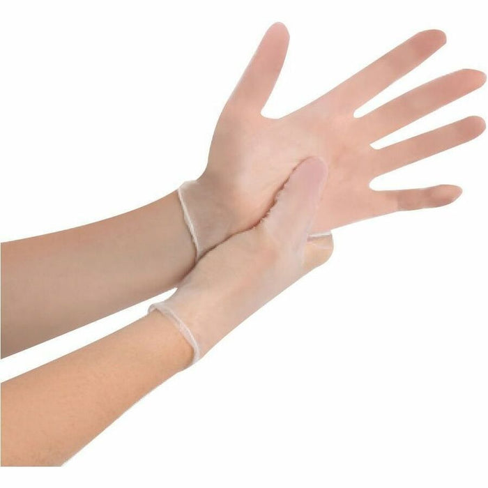 Remcoda Powder-Free Vinyl Gloves