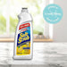 Soft Scrub Total Bath/Kitchen Cleanser