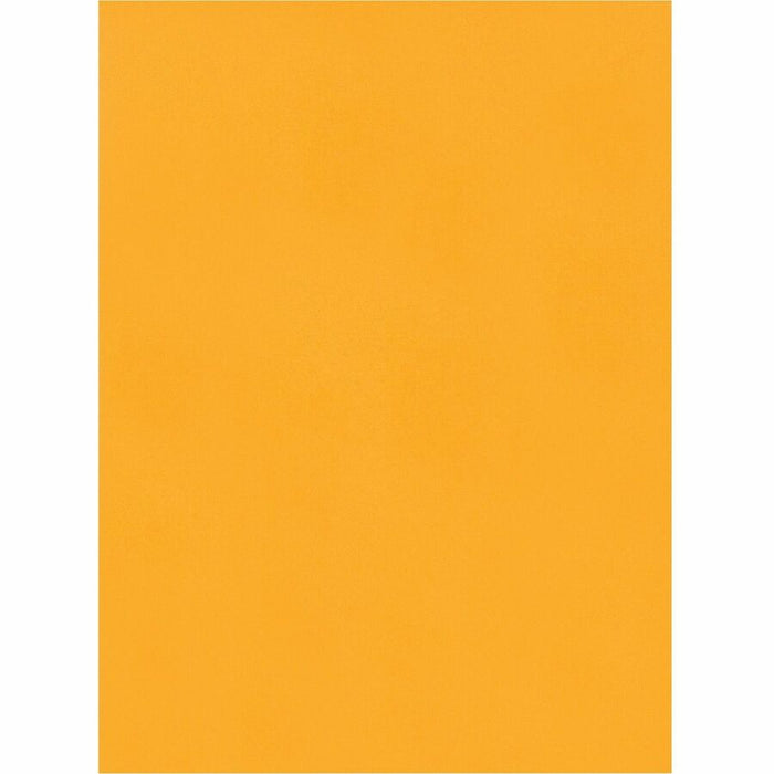 Quality Park 9 x 12 Hi Bulk Catalog Envelopes with Self-Seal Closure