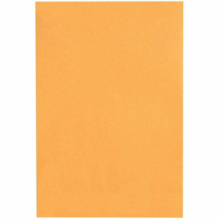 Quality Park 10 x 15 Heavy-Duty Clasp Envelope