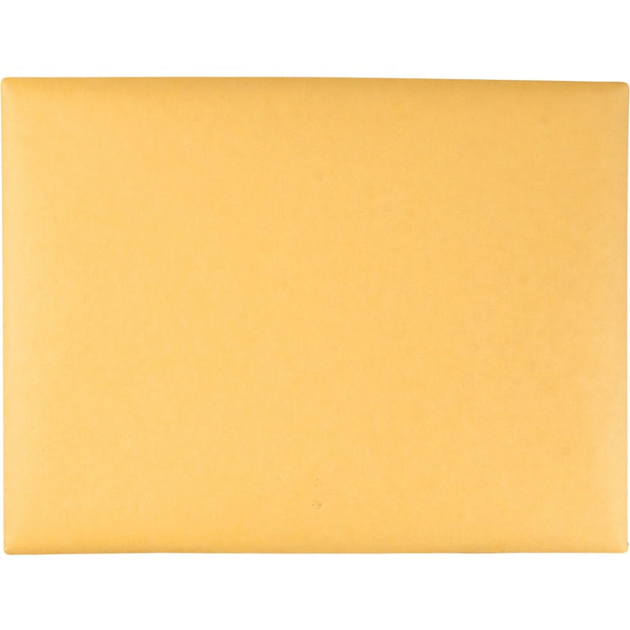 Quality Park 9 x 12 Clasp Envelopes with Deeply Gummed Flaps