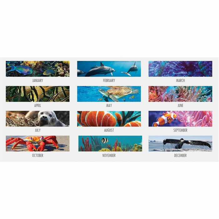 House of Doolittle EarthScapes Sea Life Desk Pads