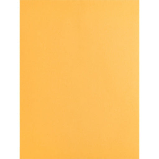 Business Source Kraft Gummed Catalog Envelopes