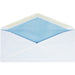 Business Source No.10 Regular Tint Security Envelopes