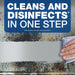 Spic and Span 3-in-1 Cleaner
