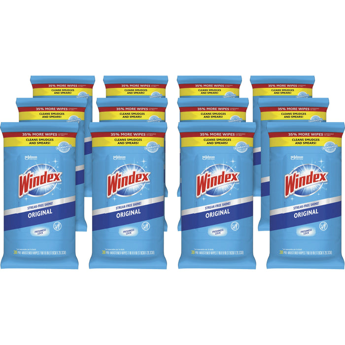 Windex® Glass & Surface Wipes