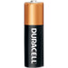 Duracell Coppertop Alkaline AA Batteries