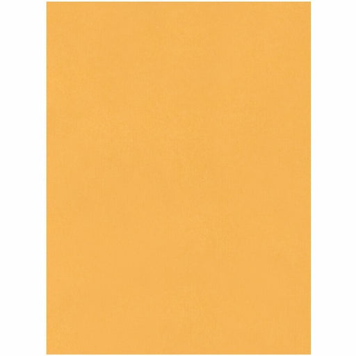 Quality Park 15 x 20 Jumbo Catalog Envelopes - Ungummed