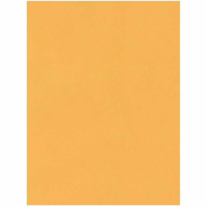 Quality Park 15 x 20 Jumbo Catalog Envelopes - Ungummed