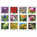 House of Doolittle EarthScapes Flowers 18-1/2" Desk Pad