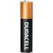 Duracell Coppertop Alkaline AA Battery 10-Packs
