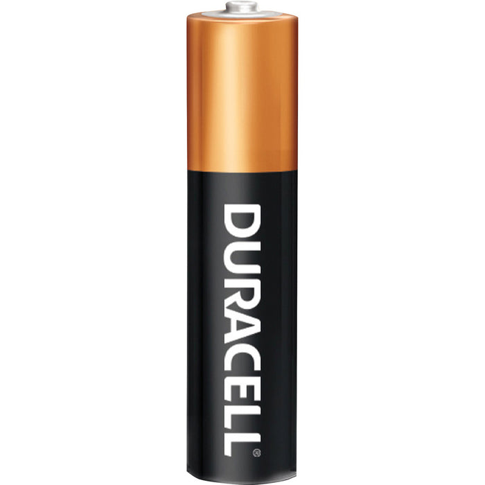 Duracell Coppertop Alkaline AA Batteries