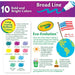 Crayola Bright/Bold Broad Line Markers